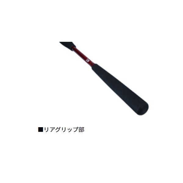 21アナリスター ライトヒラメ